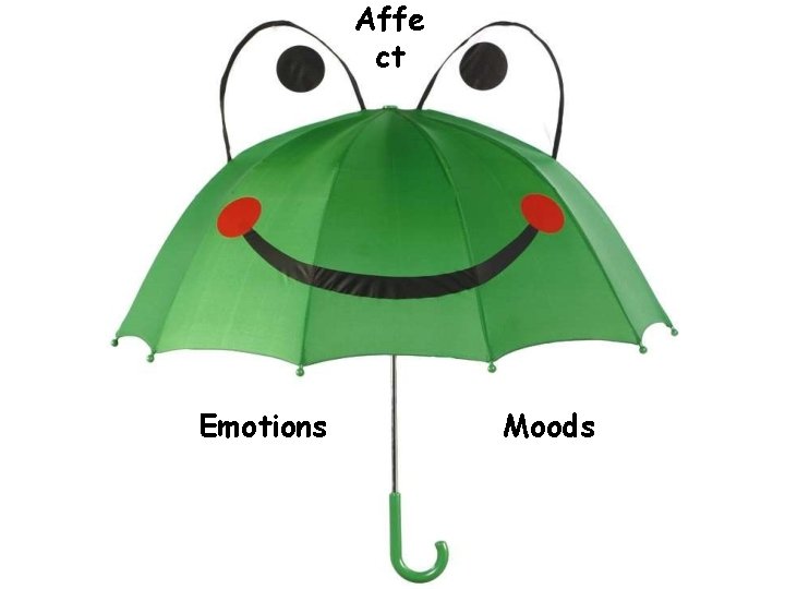 Affe ct Emotions Moods 