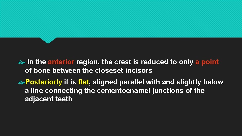  In the anterior region, the crest is reduced to only a point of