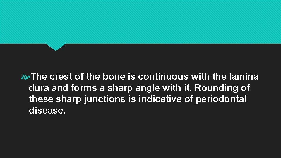  The crest of the bone is continuous with the lamina dura and forms