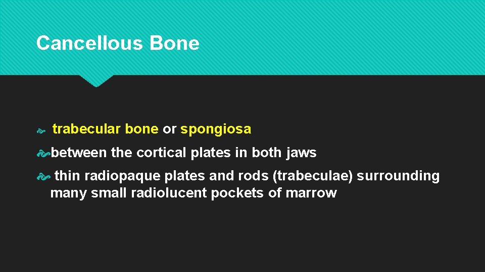 Cancellous Bone trabecular bone or spongiosa between the cortical plates in both jaws thin