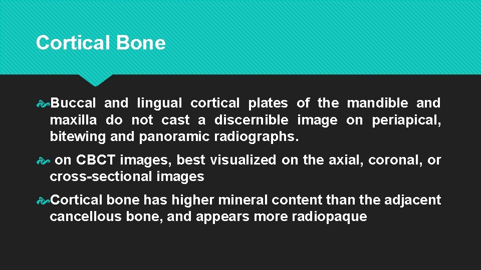 Cortical Bone Buccal and lingual cortical plates of the mandible and maxilla do not