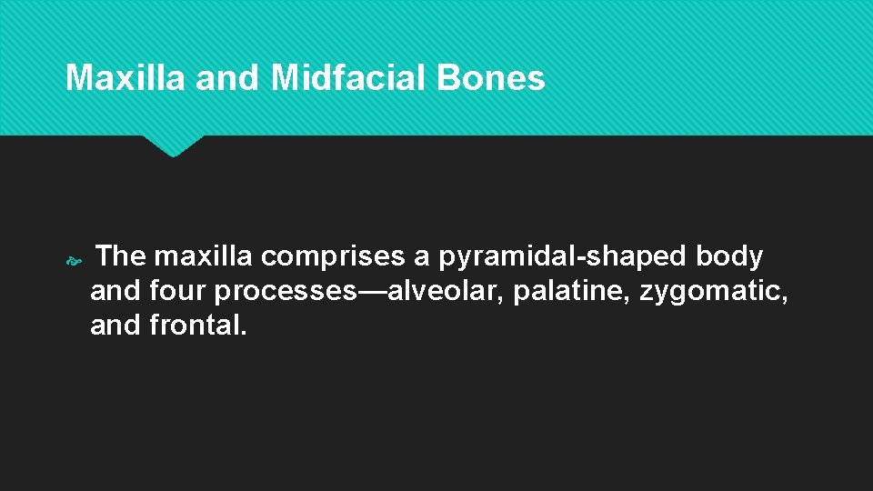 Maxilla and Midfacial Bones The maxilla comprises a pyramidal-shaped body and four processes—alveolar, palatine,