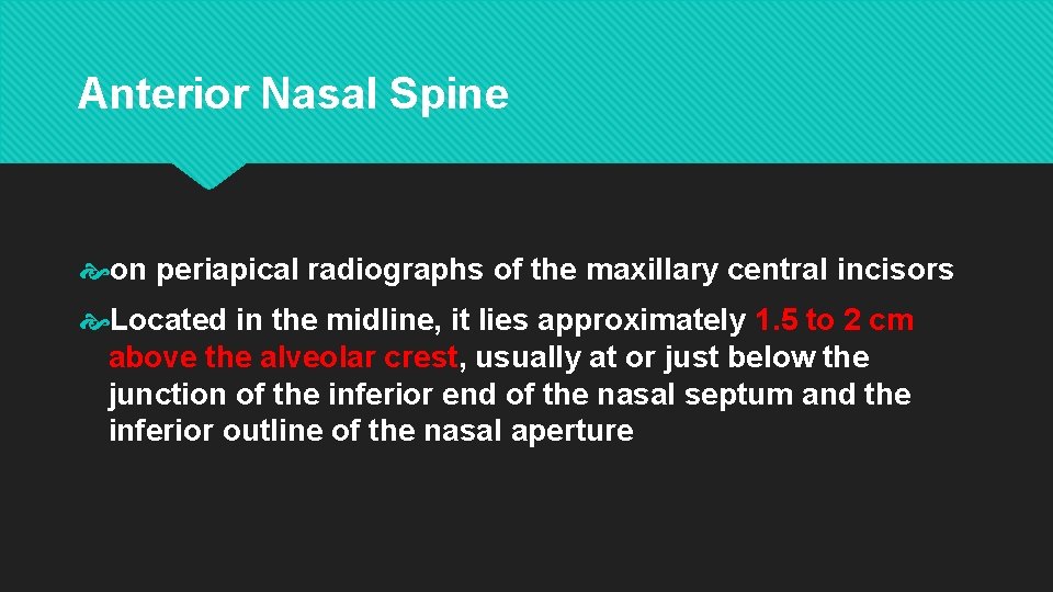 Anterior Nasal Spine on periapical radiographs of the maxillary central incisors Located in the