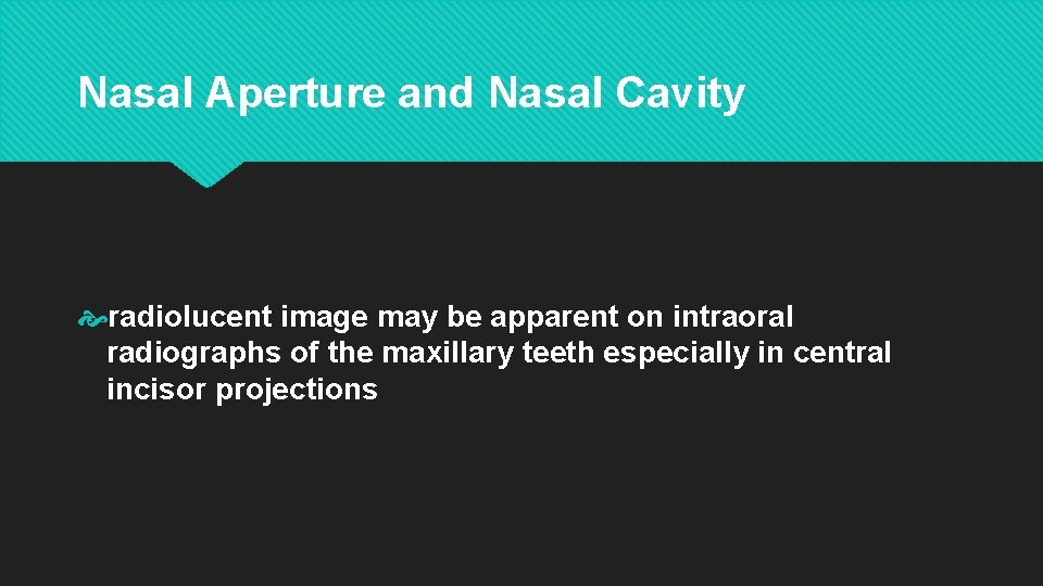 Nasal Aperture and Nasal Cavity radiolucent image may be apparent on intraoral radiographs of