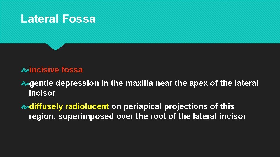 Lateral Fossa incisive fossa gentle depression in the maxilla near the apex of the