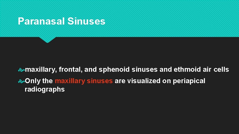 Paranasal Sinuses maxillary, frontal, and sphenoid sinuses and ethmoid air cells Only the maxillary