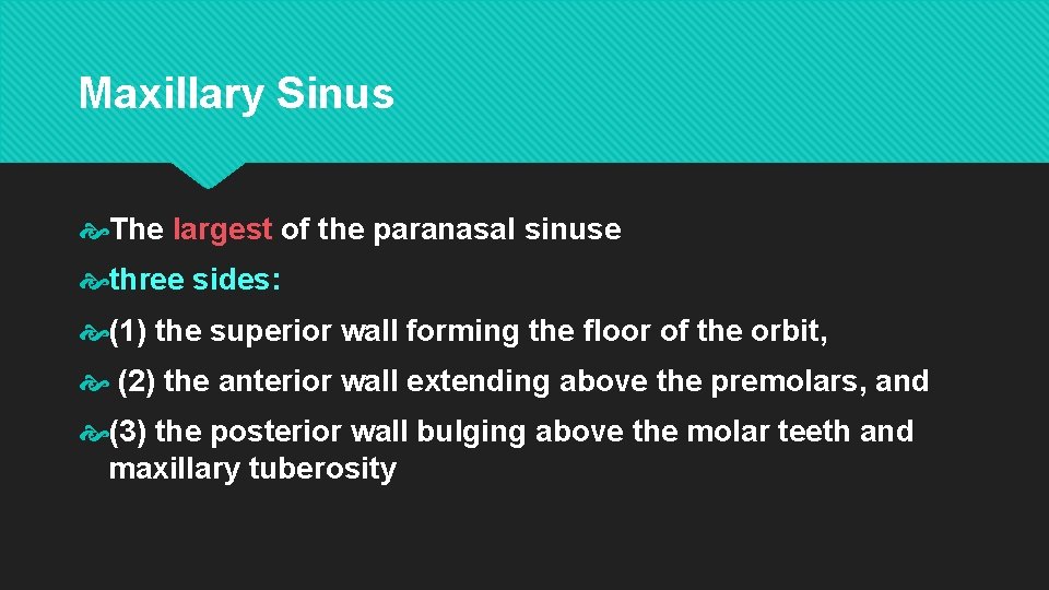 Maxillary Sinus The largest of the paranasal sinuse three sides: (1) the superior wall