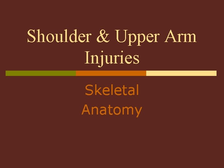 Shoulder & Upper Arm Injuries Skeletal Anatomy 