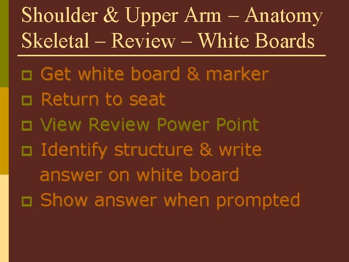 Shoulder & Upper Arm – Anatomy Skeletal – Review – White Boards p p