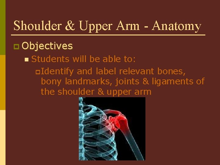 Shoulder & Upper Arm - Anatomy p Objectives n Students will be able to: