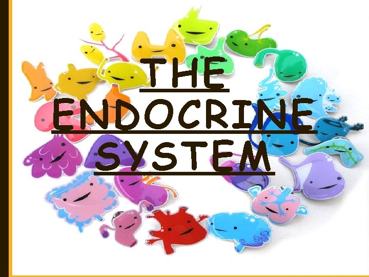 THE ENDOCRINE SYSTEM 