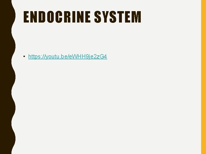 ENDOCRINE SYSTEM • https: //youtu. be/e. WHH 9 je 2 z. G 4 