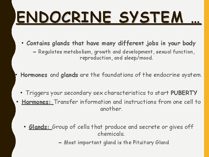 ENDOCRINE SYSTEM … • Contains glands that have many different jobs in your body