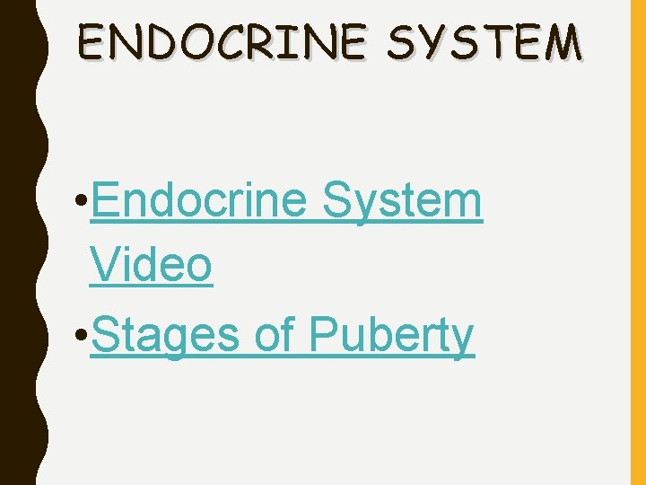 ENDOCRINE SYSTEM • Endocrine System Video • Stages of Puberty 