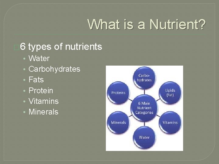 What is a Nutrient? � 6 • • • types of nutrients Water Carbohydrates