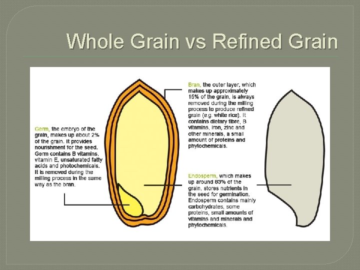 Whole Grain vs Refined Grain 