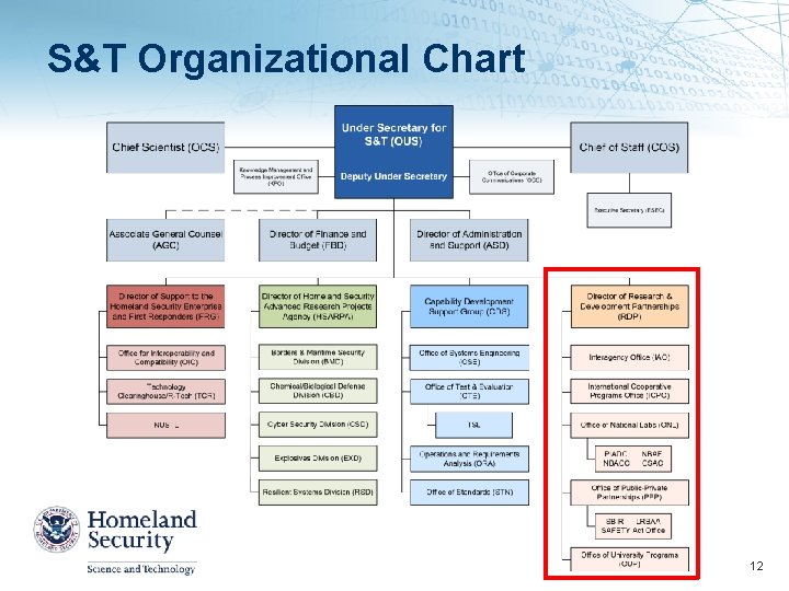 S&T Organizational Chart 12 