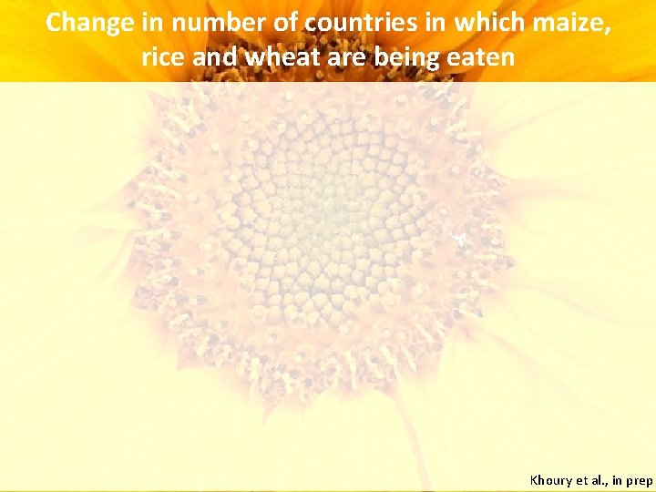 Change in number of countries in which maize, rice and wheat are being eaten