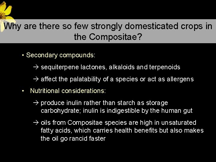 Why are there so few strongly domesticated crops in the Compositae? • Secondary compounds: Why are there so few strongly domesticated crops in the Compositae? • Secondary compounds: