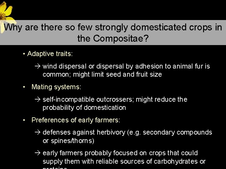 Why are there so few strongly domesticated crops in the Compositae? • Adaptive traits: