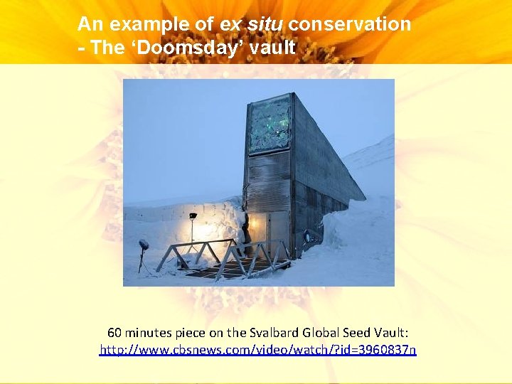 An example of ex situ conservation - The ‘Doomsday’ vault 60 minutes piece on