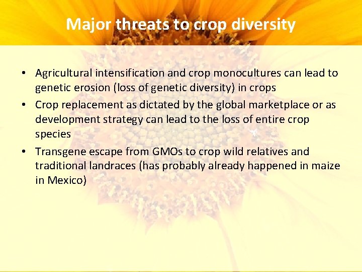 Major threats to crop diversity • Agricultural intensification and crop monocultures can lead to