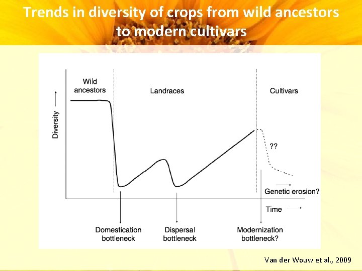 Trends in diversity of crops from wild ancestors to modern cultivars Van der Wouw Trends in diversity of crops from wild ancestors to modern cultivars Van der Wouw