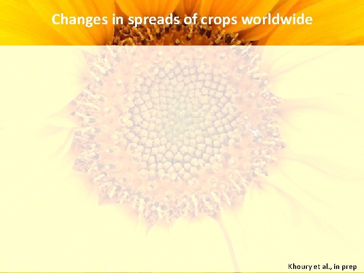 Changes in spreads of crops worldwide Khoury et al. , in prep 