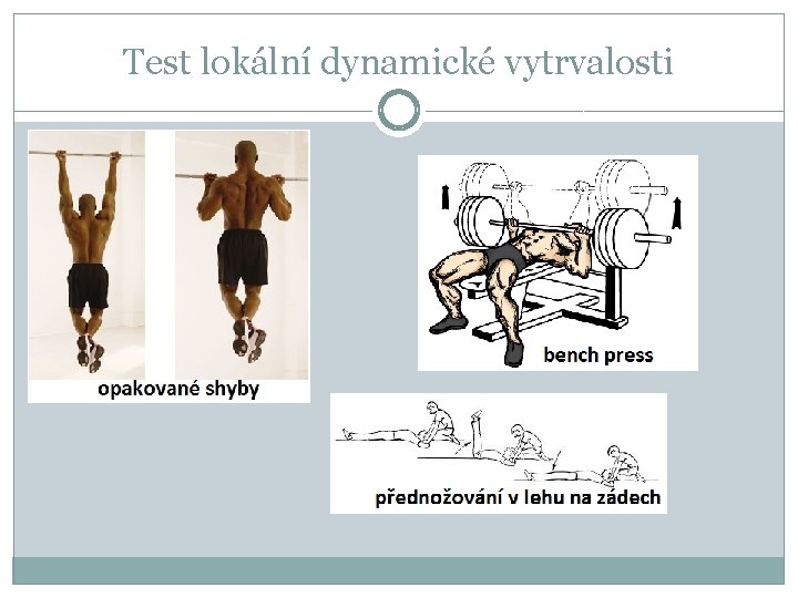 Test lokální dynamické vytrvalosti 