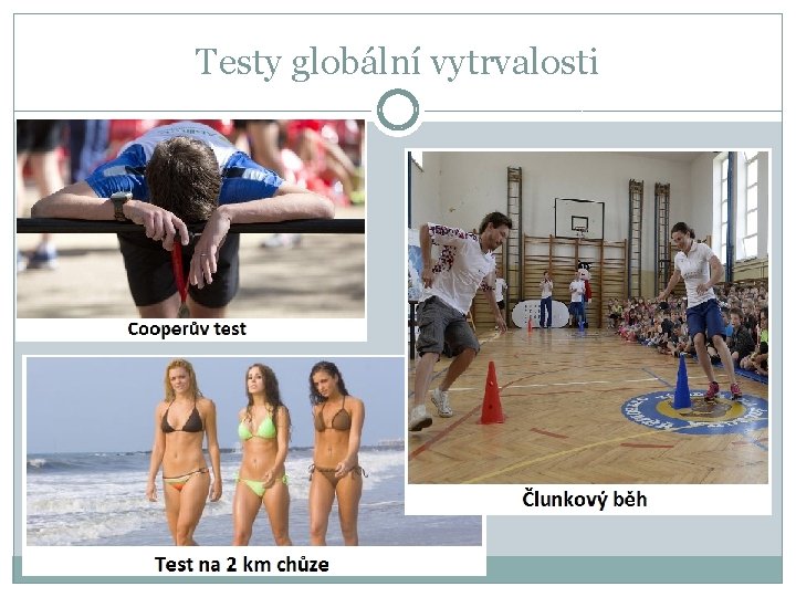 Testy globální vytrvalosti 