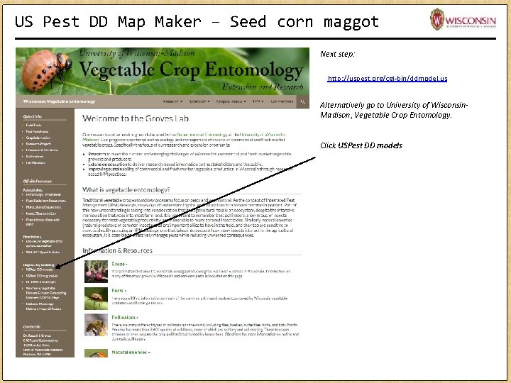 US Pest DD Map Maker – Seed corn maggot Next step: http: //uspest. org/cgi-bin/ddmodel. US Pest DD Map Maker – Seed corn maggot Next step: http: //uspest. org/cgi-bin/ddmodel.