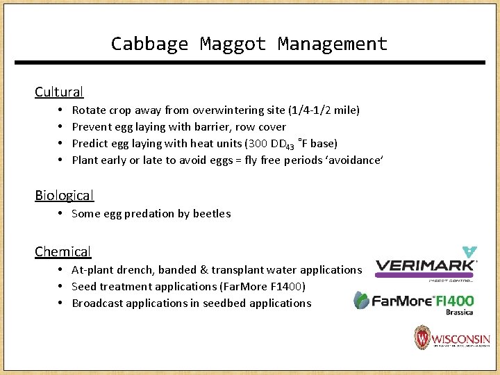 Cabbage Maggot Management Cultural • • Rotate crop away from overwintering site (1/4 -1/2 Cabbage Maggot Management Cultural • • Rotate crop away from overwintering site (1/4 -1/2