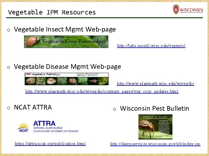 Vegetable IPM Resources o Vegetable Insect Mgmt Web-page http: //labs. russell. wisc. edu/vegento/ o Vegetable IPM Resources o Vegetable Insect Mgmt Web-page http: //labs. russell. wisc. edu/vegento/ o