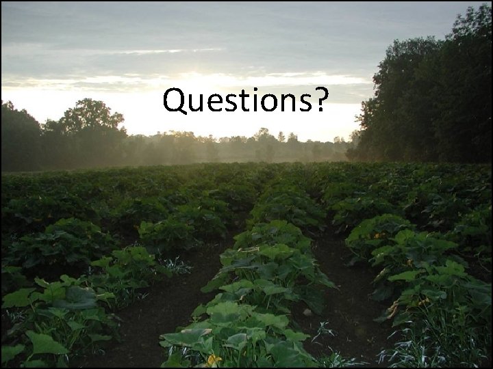 Questions? Questions?