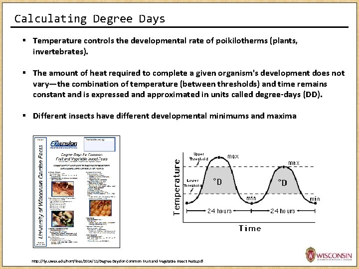 Calculating Degree Days § Temperature controls the developmental rate of poikilotherms (plants, invertebrates). § Calculating Degree Days § Temperature controls the developmental rate of poikilotherms (plants, invertebrates). §