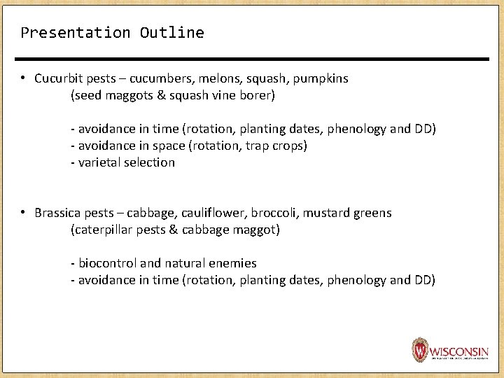 Presentation Outline • Cucurbit pests – cucumbers, melons, squash, pumpkins (seed maggots & squash Presentation Outline • Cucurbit pests – cucumbers, melons, squash, pumpkins (seed maggots & squash