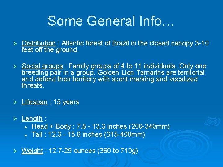 Some General Info… Ø Distribution : Atlantic forest of Brazil in the closed canopy Some General Info… Ø Distribution : Atlantic forest of Brazil in the closed canopy