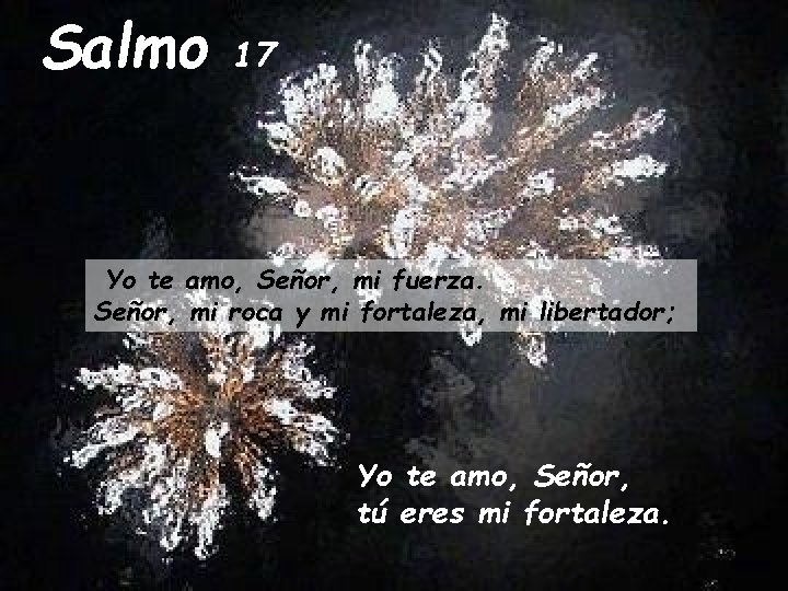 Salmo 17 Yo te amo, Señor, mi fuerza. Señor, mi roca y mi fortaleza,
