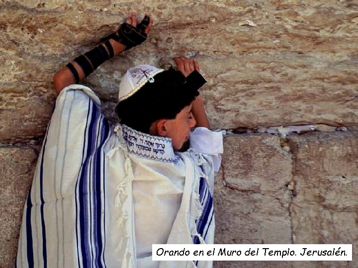 Orando en el Muro del Templo. Jerusalén. 