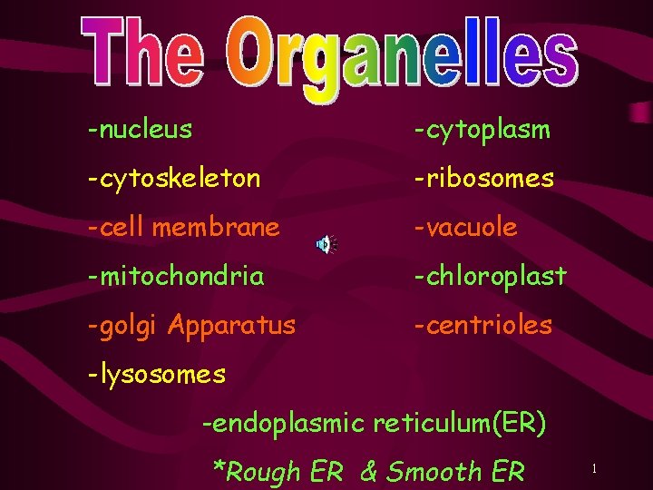 -nucleus -cytoplasm -cytoskeleton -ribosomes -cell membrane -vacuole -mitochondria -chloroplast -golgi Apparatus -centrioles -lysosomes -endoplasmic
