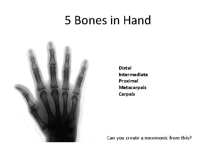 5 Bones in Hand Distal Intermediate Proximal Metacarpals Can you create a mnemonic from 5 Bones in Hand Distal Intermediate Proximal Metacarpals Can you create a mnemonic from