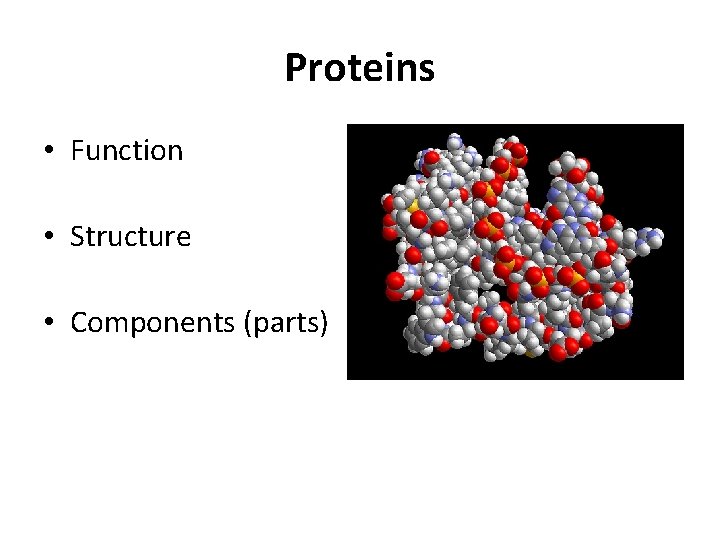 Proteins • Function • Structure • Components (parts) 