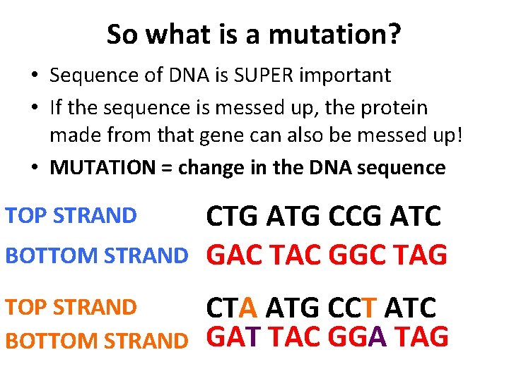 So what is a mutation? • Sequence of DNA is SUPER important • If