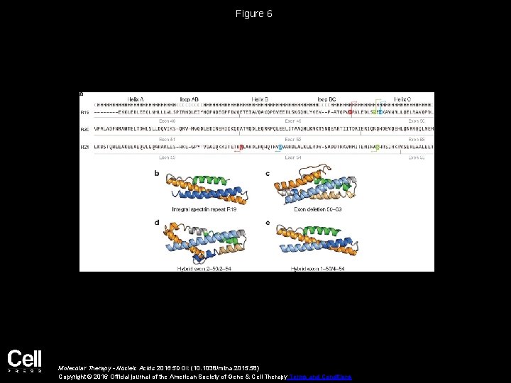 Figure 6 Molecular Therapy - Nucleic Acids 2016 5 DOI: (10. 1038/mtna. 2015. 58)