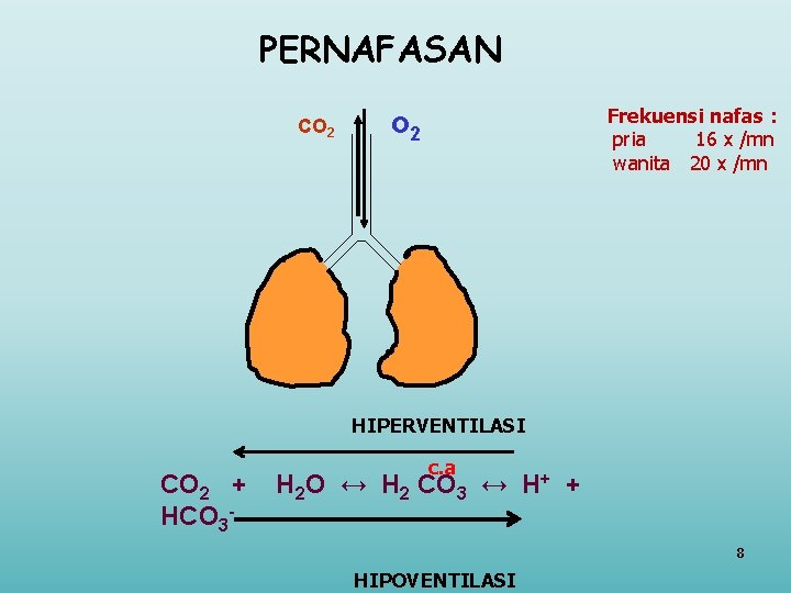 PERNAFASAN CO 2 Frekuensi nafas : pria 16 x /mn wanita 20 x /mn