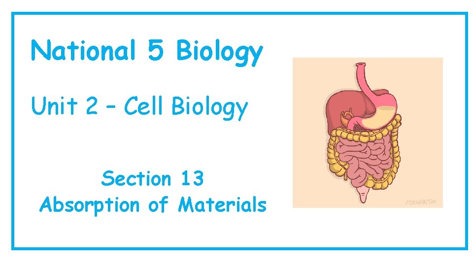 National 5 Biology Unit 2 – Cell Biology Section 13 Absorption of Materials 