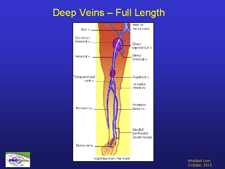 Deep Veins – Full Length Hholdorf. com October, 2015 