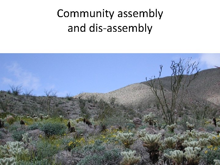 Community assembly and dis-assembly 