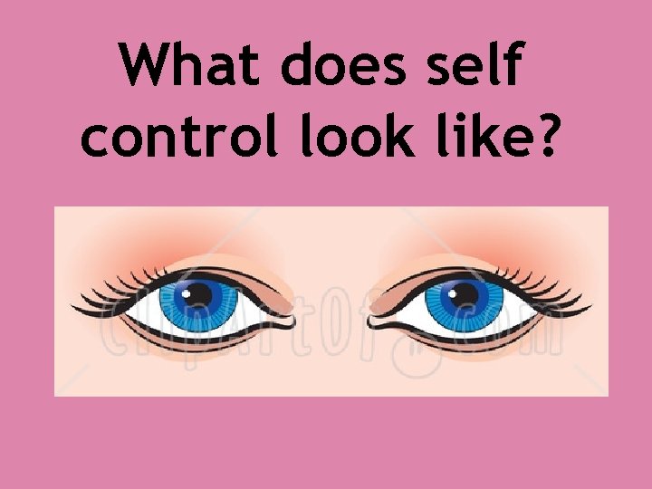 What does self control look like? 