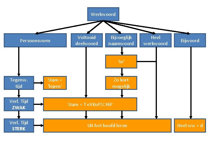 Werkwoord Persoonsvorm Voltooid deelwoord Bijvoeglijk naamwoord Heel werkwoord Bijwoord ‘te’ Tegenw. tijd Verl. Tijd